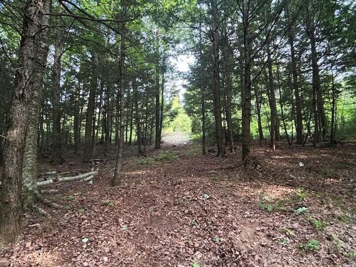 Property Photo: Lot #8 Kolm Road ME 04939