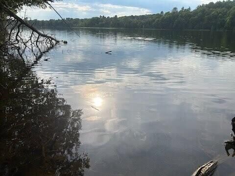 Property Photo:  Lot #8 Kolm Road  ME 04939 