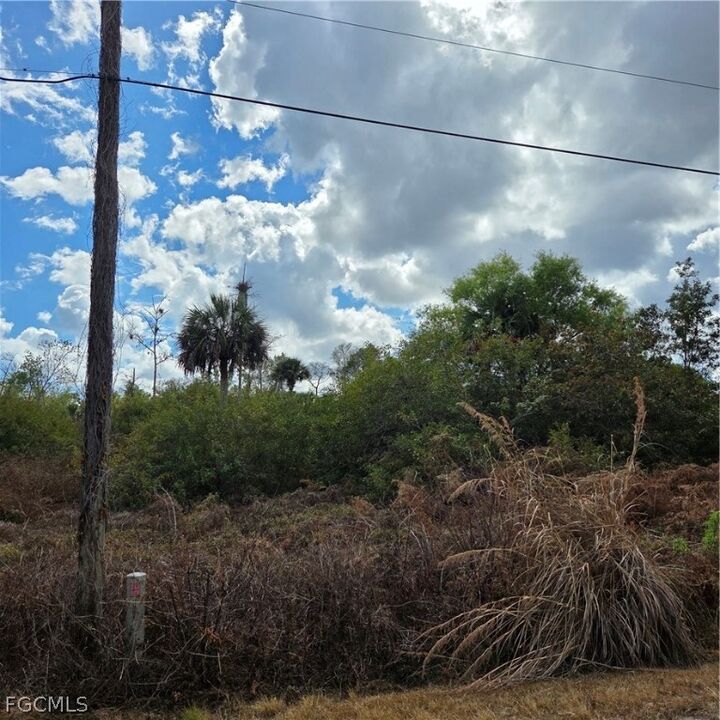 Property Photo:  24th Avenue SE  FL 34117 
