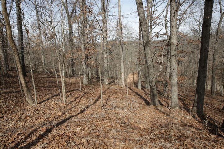 Property Photo:  Lot 11 Kirkpatrick Way  AR 72715 