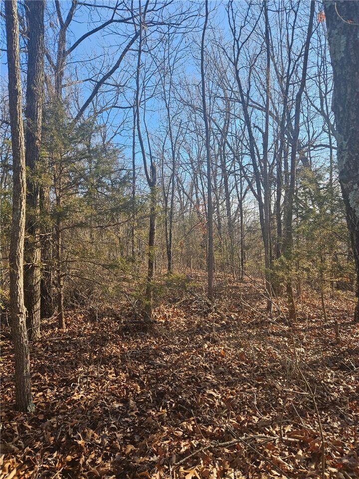 Property Photo:  Poley Trail  AR 72662 