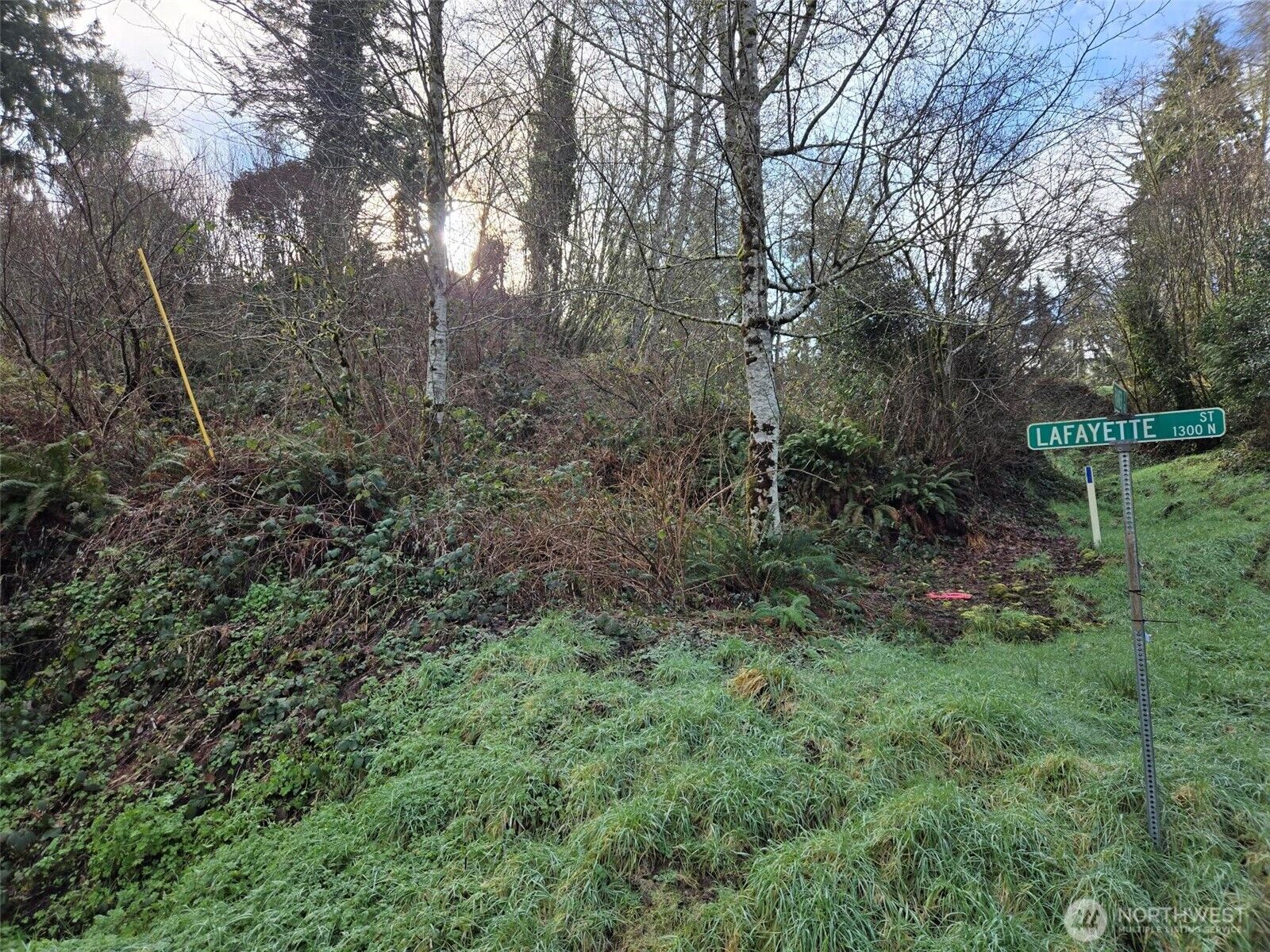 Property Photo: 0 Nka Lafayette Street WA 98520