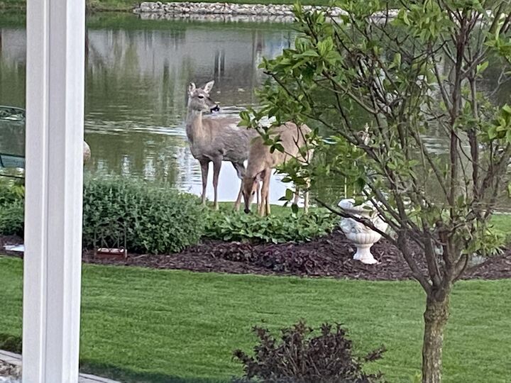 Property Photo:  817 Mary Ellen Drive  IN 46307 