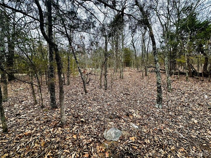 Property Photo: 1920 Lake Forest Drive MO 63601