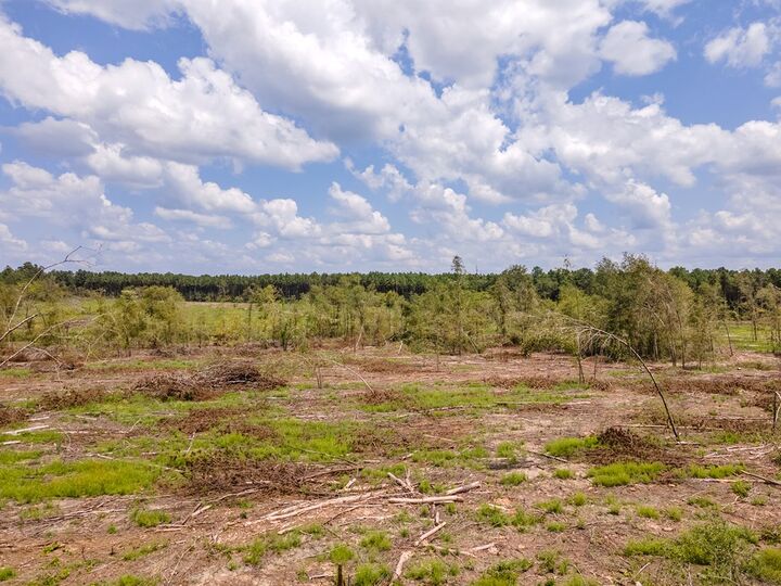 Property Photo:  R53358 Tract 1 Hwy 94  TX 75926 