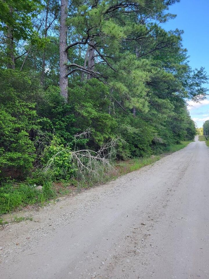 Property Photo:  L46126 Reily Village  TX 75939 