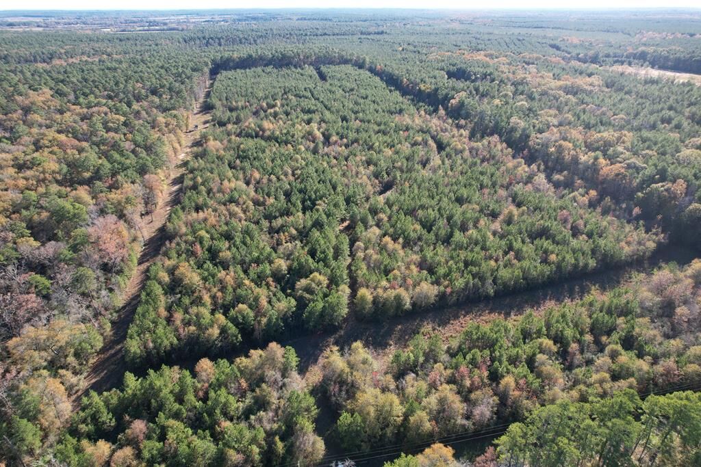 Property Photo:  1729 Neal Road  TX 75949 