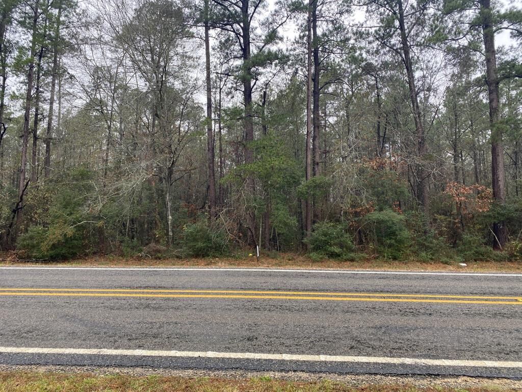 Property Photo:  Tbd Fm 2497  TX 75941 