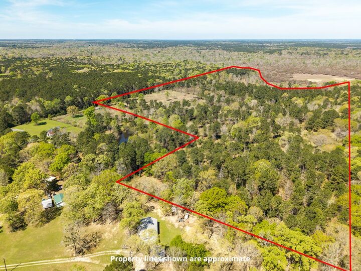 Property Photo:  31964 Herman Nerren Road  TX 75949 