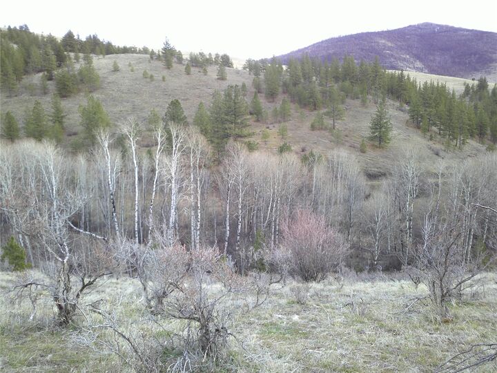 Property Photo: Nhn Browns Meadow Road MT 59845