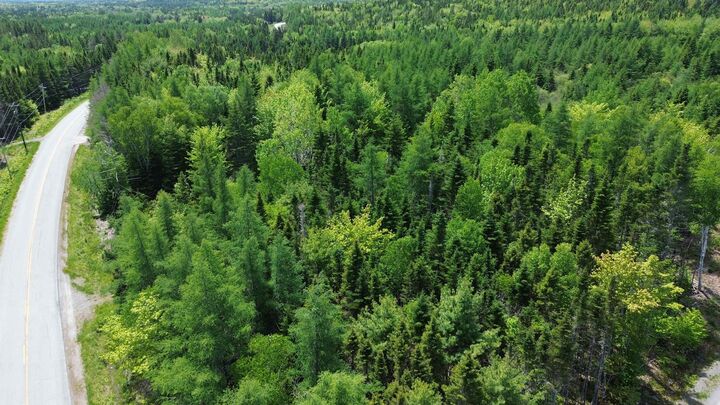 Lot 13 Lower River Road — photo 1