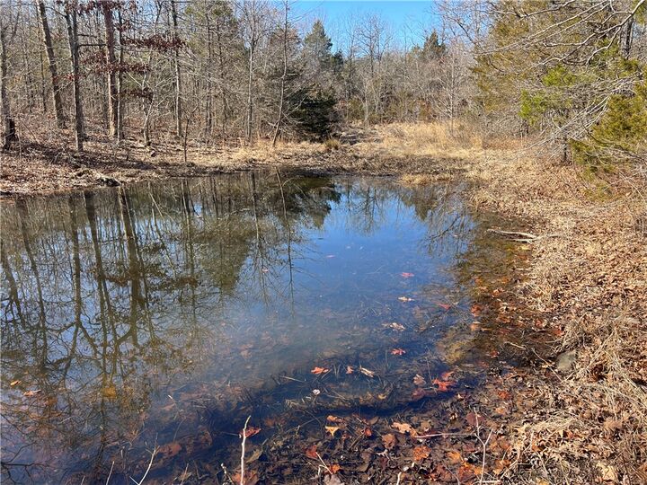 Property Photo:  County Rd 972  AR 72611 