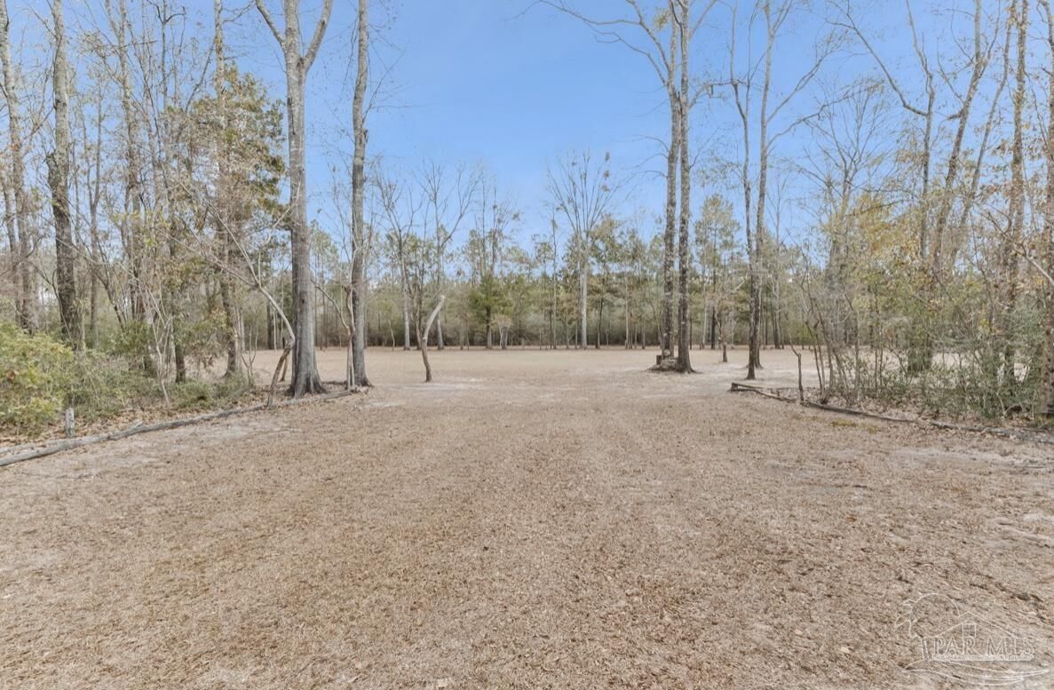 Property Photo:  Salter Rd  FL 32571 