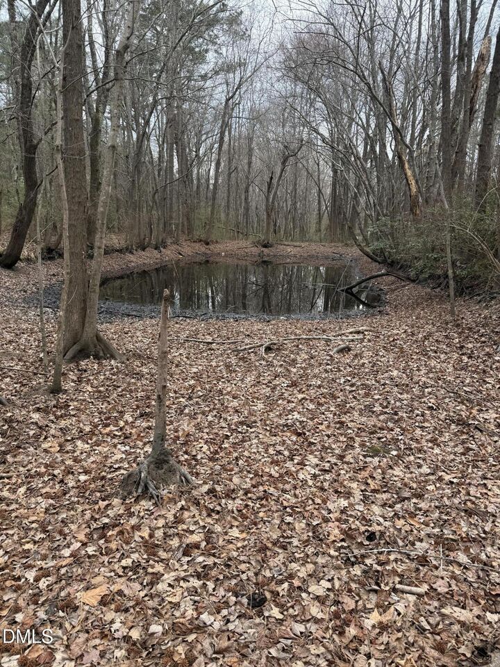 Property Photo:  167 David Road  NC 27591 