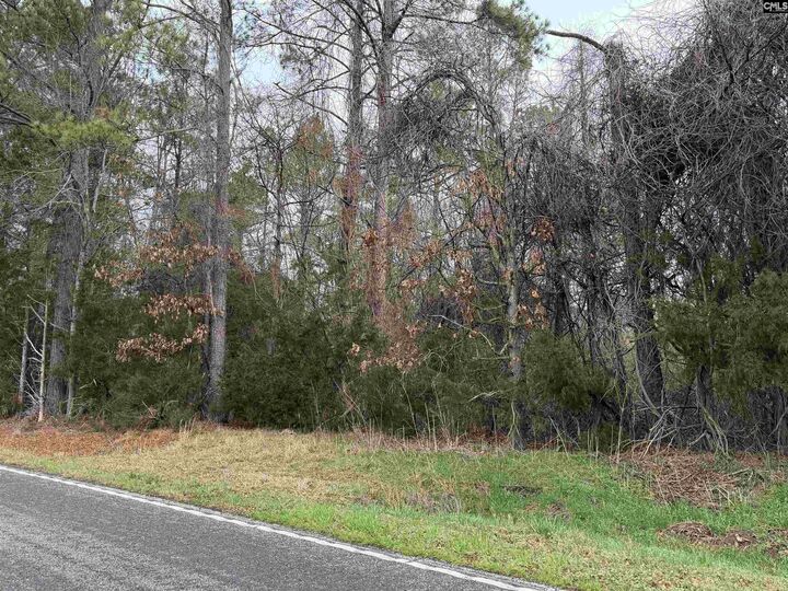 Property Photo: 0 Saint Phillips Chruch SC 29127