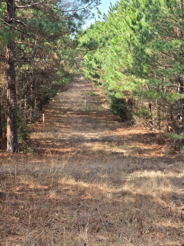 Property Photo: Tbd County Road 272 TX 75654