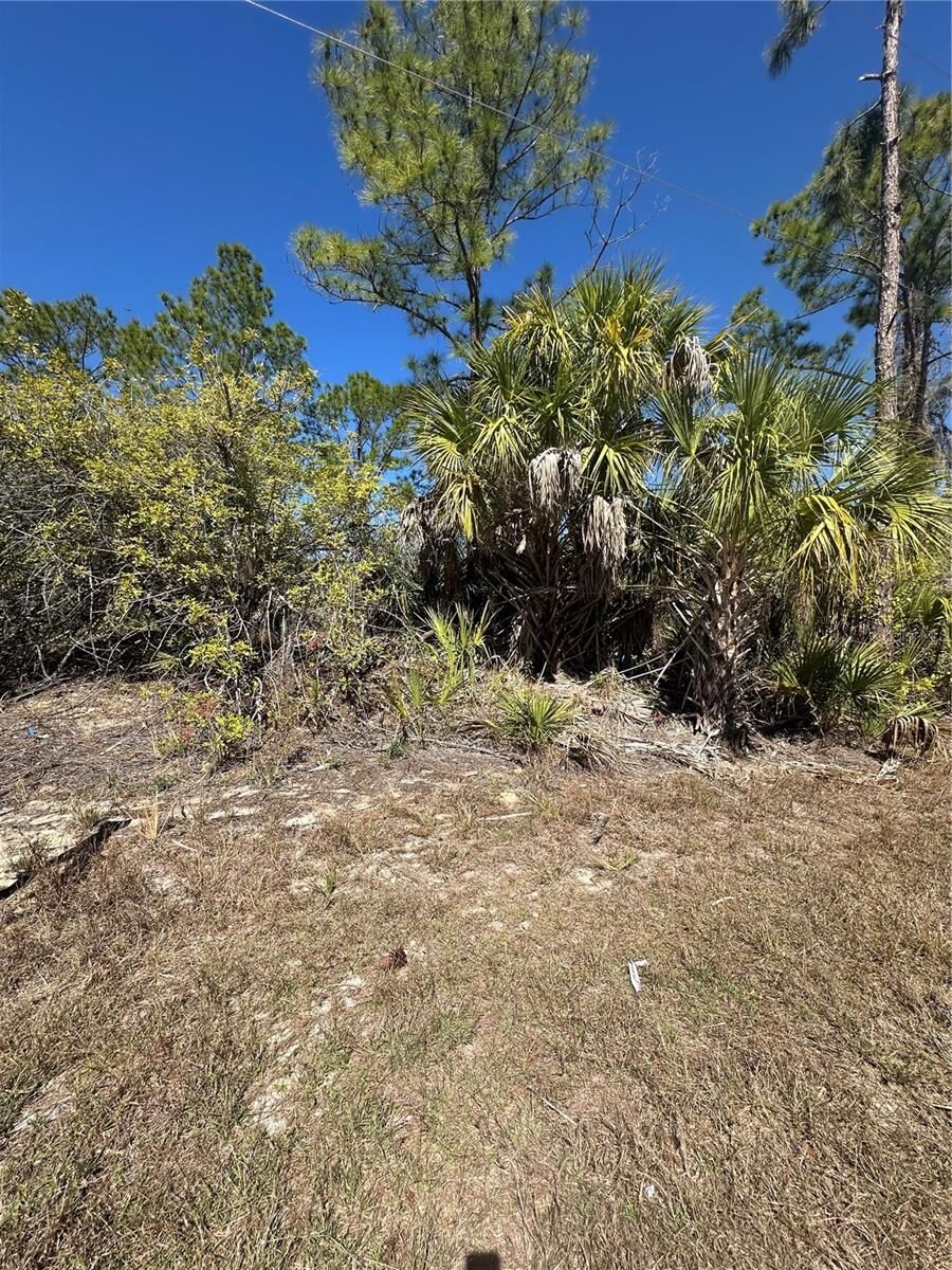 Property Photo:  Henning Street  FL 34288 