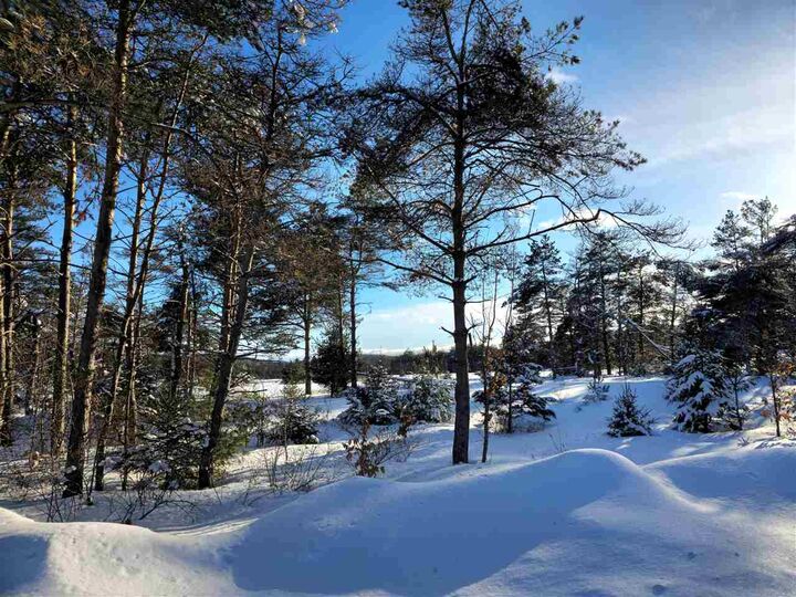 Property Photo:  3129 Needles Lot 35  MI 49740 