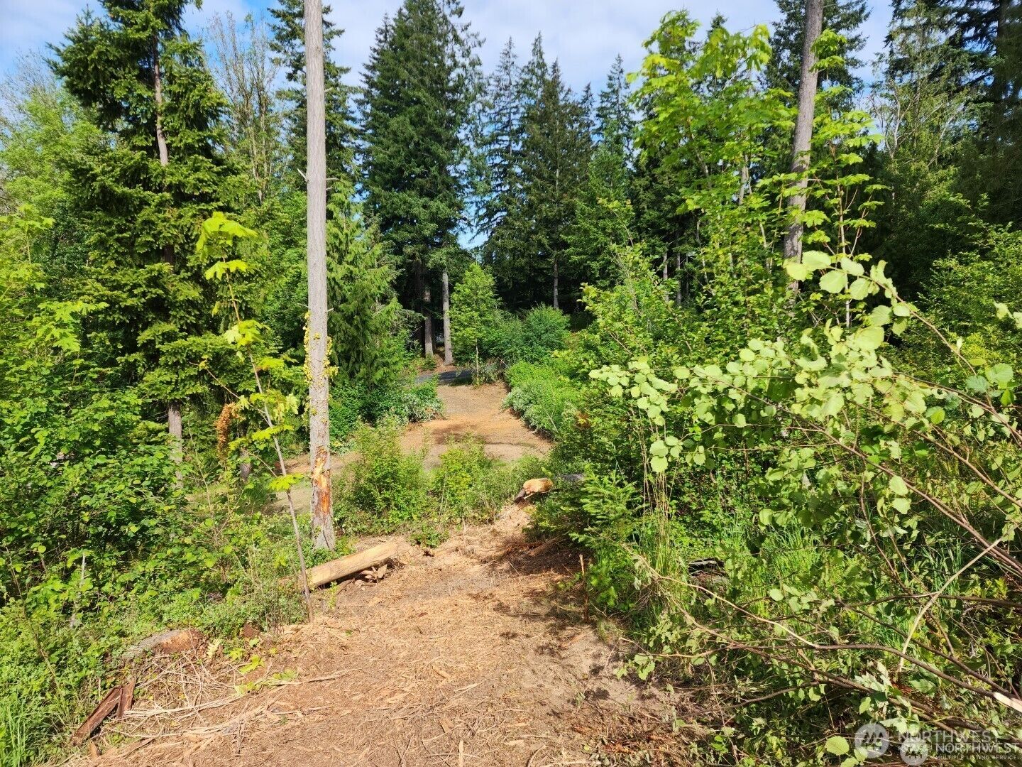 Property Photo:  112  Tillicum Road  WA 98532 