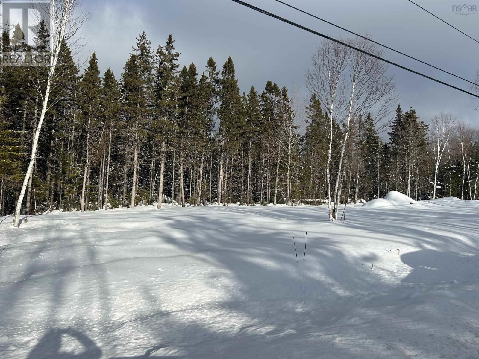 Property Photo:  0 Meadows Road  NS B1L 1A1 