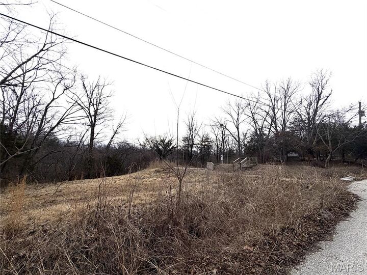 Property Photo: 324 Sirius Road MO 63020