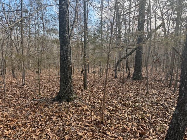 Property Photo:  Tract 3 Mc 8003  AR 72687 