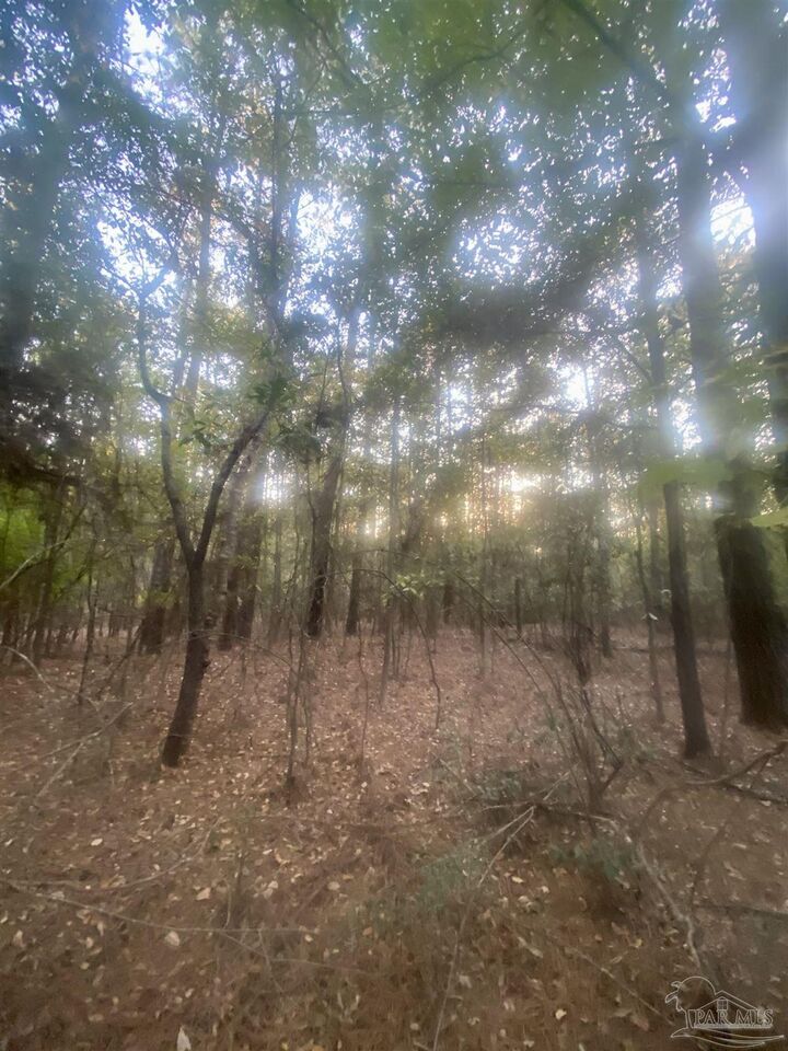 Property Photo: 4 Acres Hwy 4 FL 32565