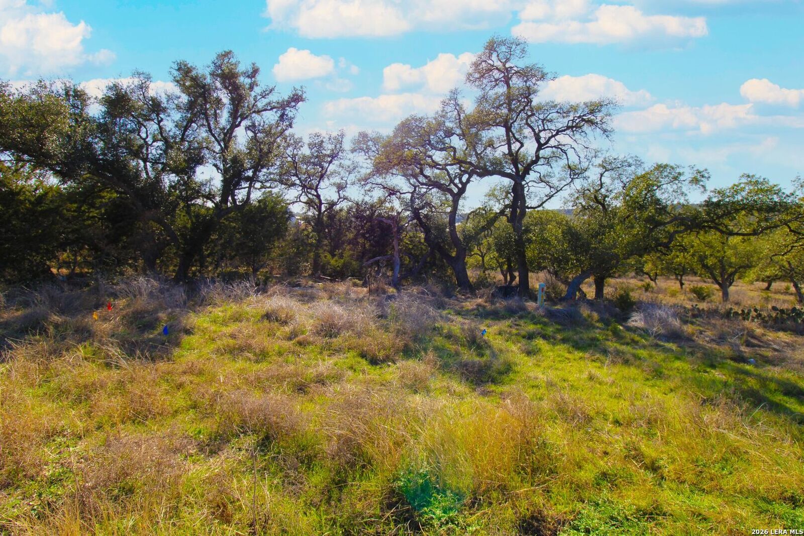 Property Photo: 436 Cavy TX 78132