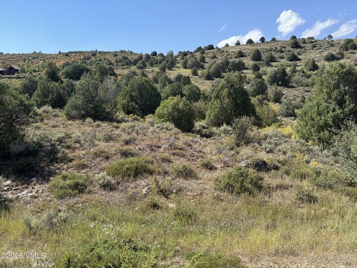 Property Photo:  417 Aspen Bluff Lane  CO 81655 