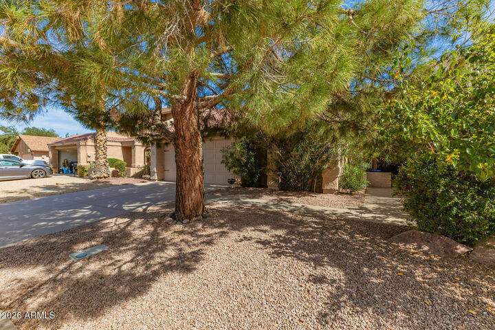 Property Photo:  1511 N Central Drive  AZ 85224 