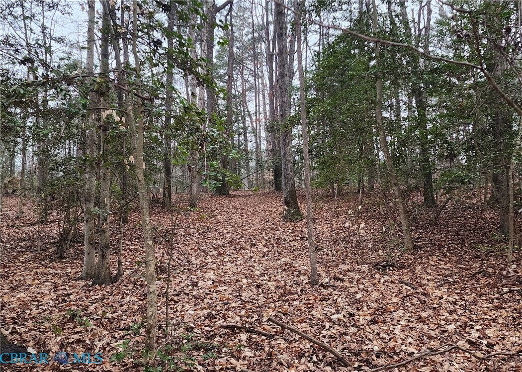 Property Photo:  5.23ac Courthouse Road  VA 23140 