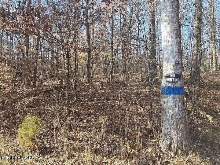Property Photo: Lot 16 River Rd TN 37322