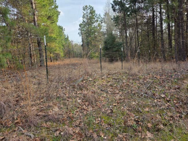 Property Photo:  Tbd 7.85 Ac Cr 3206  TX 75667 
