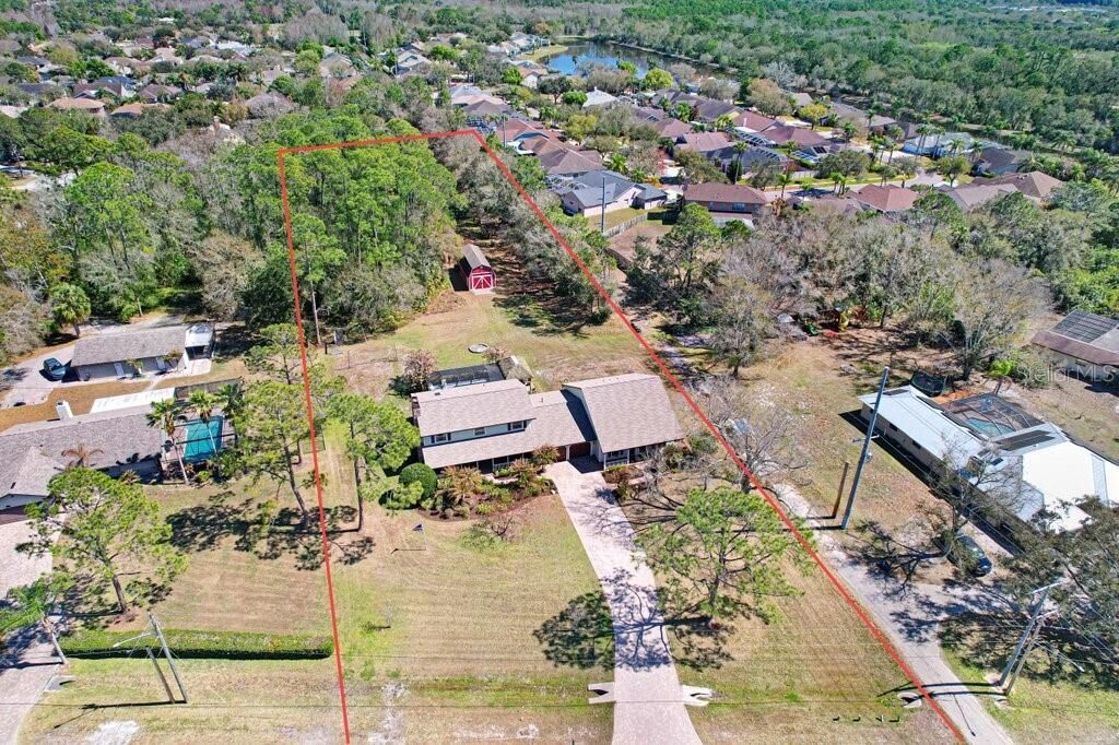 Property Photo:  12508 Twin Branch Acres Road  FL 33626 