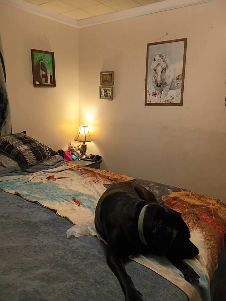 Property Photo: 148 Silver St TN 37388