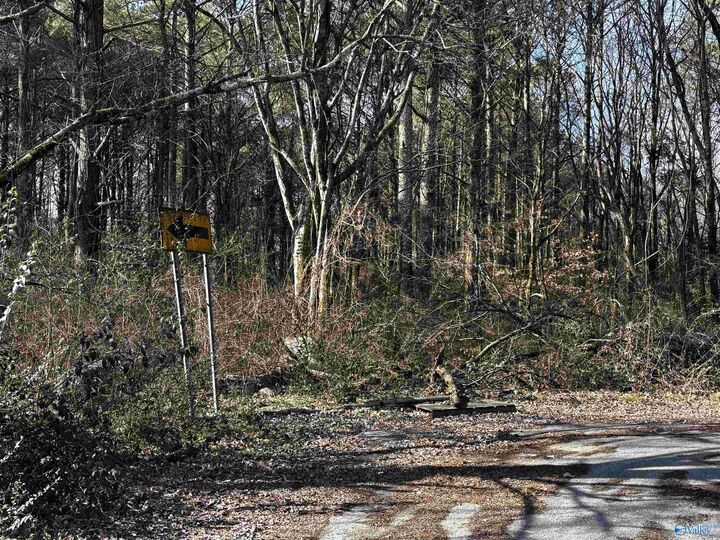 Property Photo:  Pin 35708 Tee Jay Drive  AL 35810 