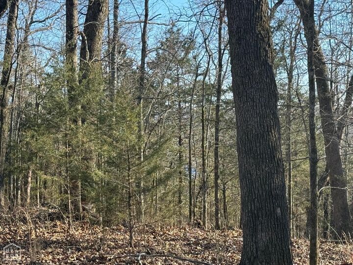 Property Photo:  1516 Panther Cove Drive  AR 72653 