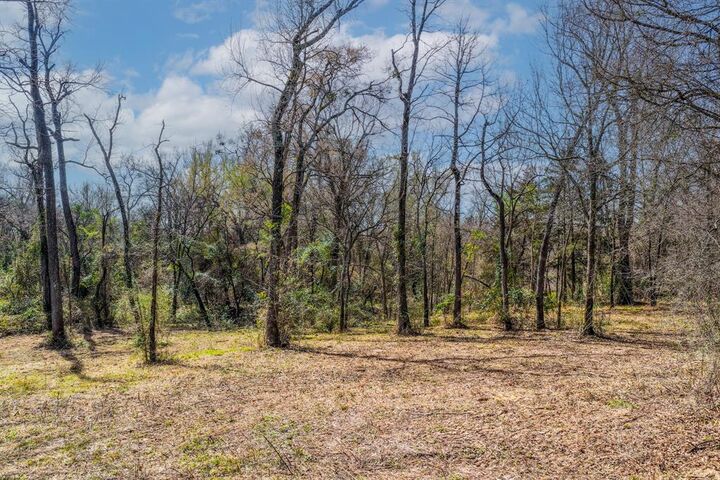 Property Photo:  38 Katrina Drive  TX 75482 