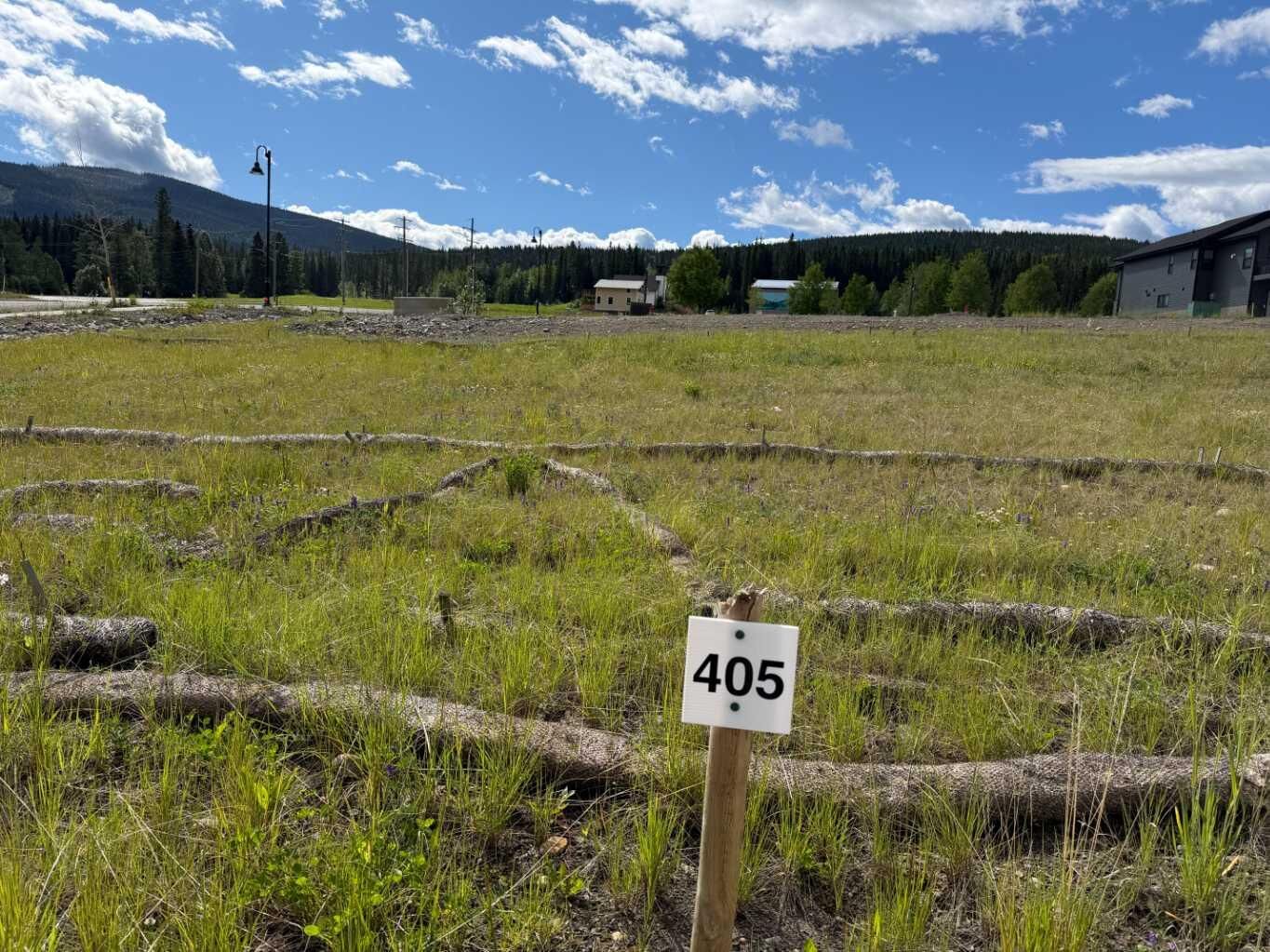 Property Photo: 405 Lily Avenue AB T0M 2H0