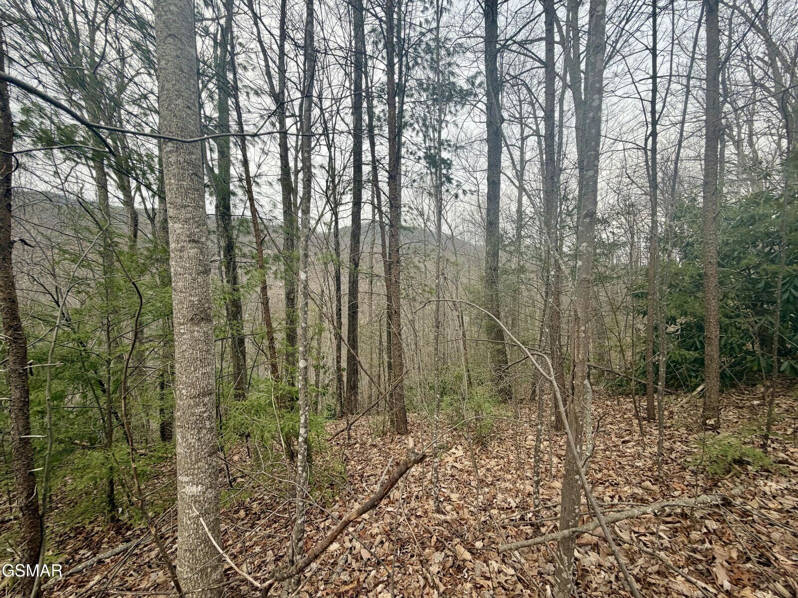 Property Photo:  Lot 6 Thissa Way  TN 37738 