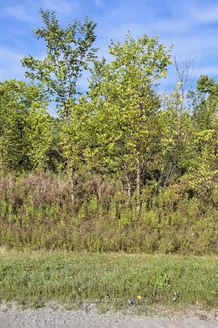 Property Photo:  Lot 2 Montrose Road  ON L3B 5N7 