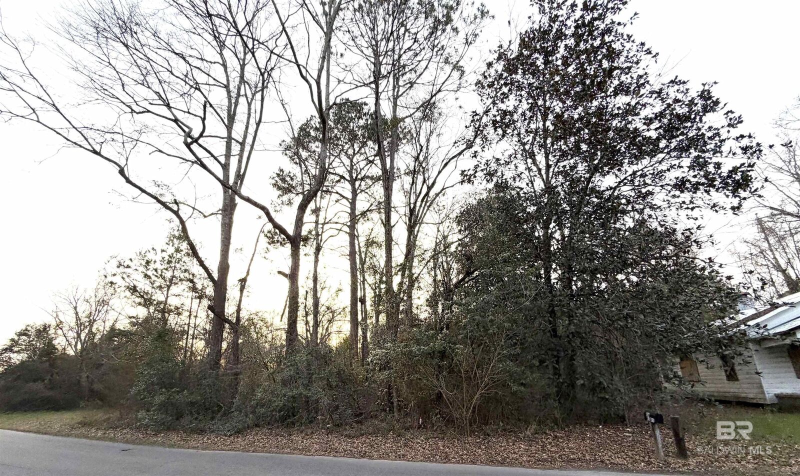 Property Photo:  817 Martin Luther King Drive  AL 36427 