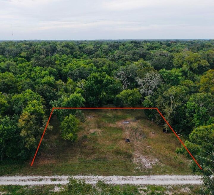 Property Photo: 0 Elm Cr 825C Street TX 77486