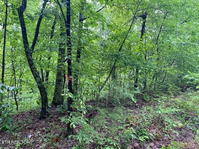 Property Photo:  9129 Lynnwood Lane  TN 37853 