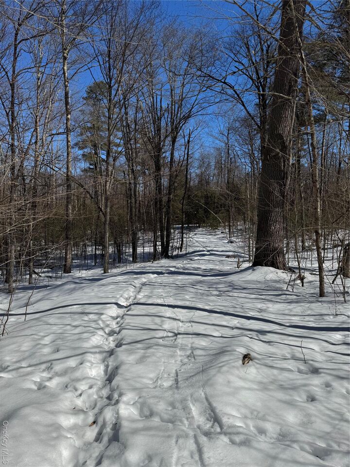 Property Photo:  Lot 32 Woodstone Trail  NY 12720 