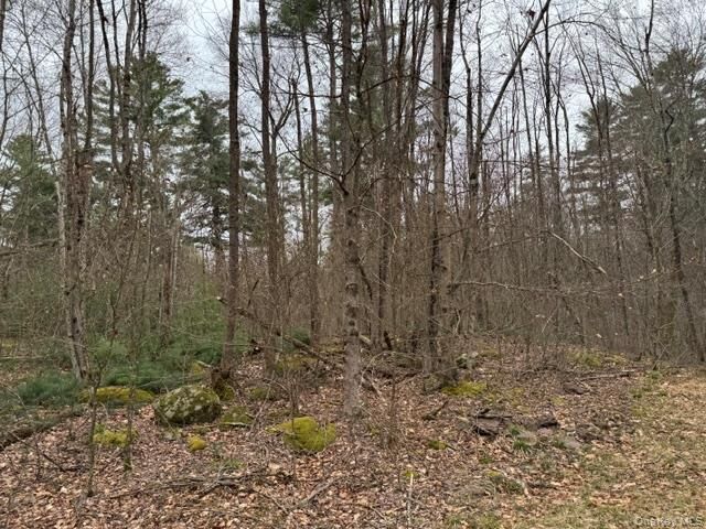 Property Photo:  Lot 32 Woodstone Trail  NY 12720 
