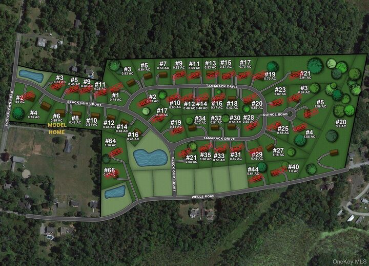 Property Photo:  9 Black Gum Court  NY 12550 