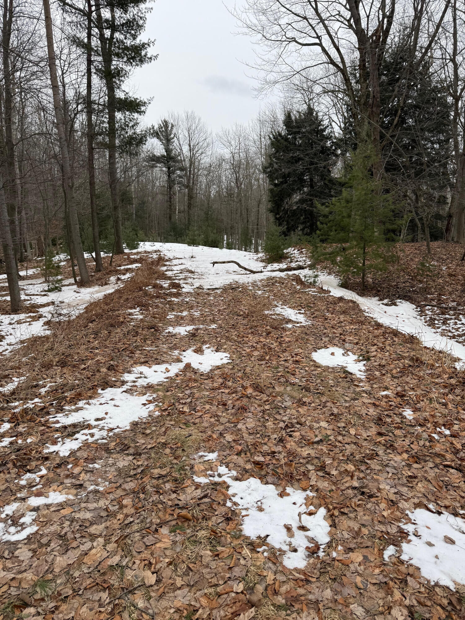 Property Photo: West Fox Farm Road MI 49660