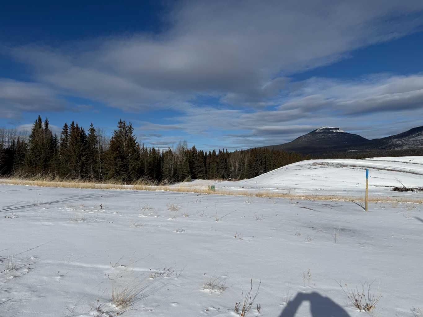 Property Photo:  420 Lily Avenue  AB T0M 2H0 