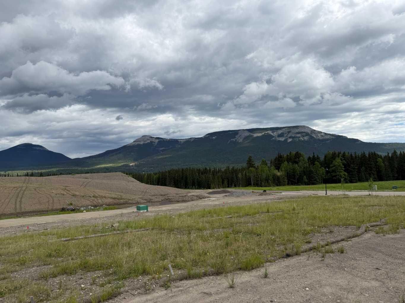 Property Photo: 420 Lily Avenue AB T0M 2H0